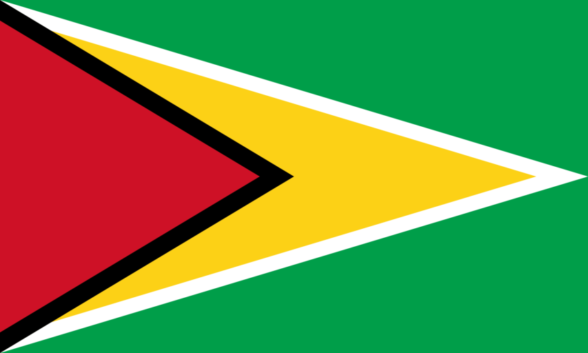 Bandera Guyana